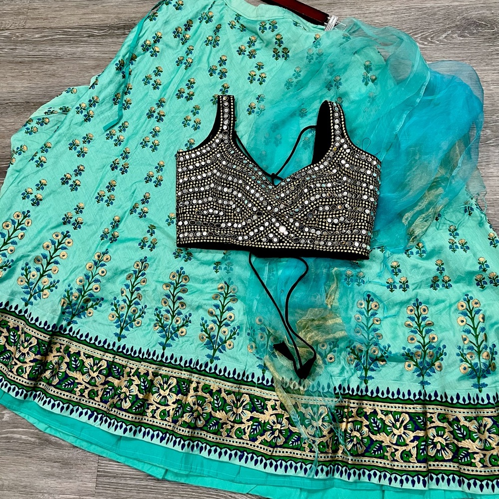 Handpainted Indian lehenga choli